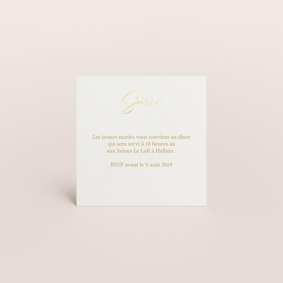 T-shirt Officiel Fédération Internationale De Judo (IJF) - Gris - Taille S à 2XL | Coton Sport