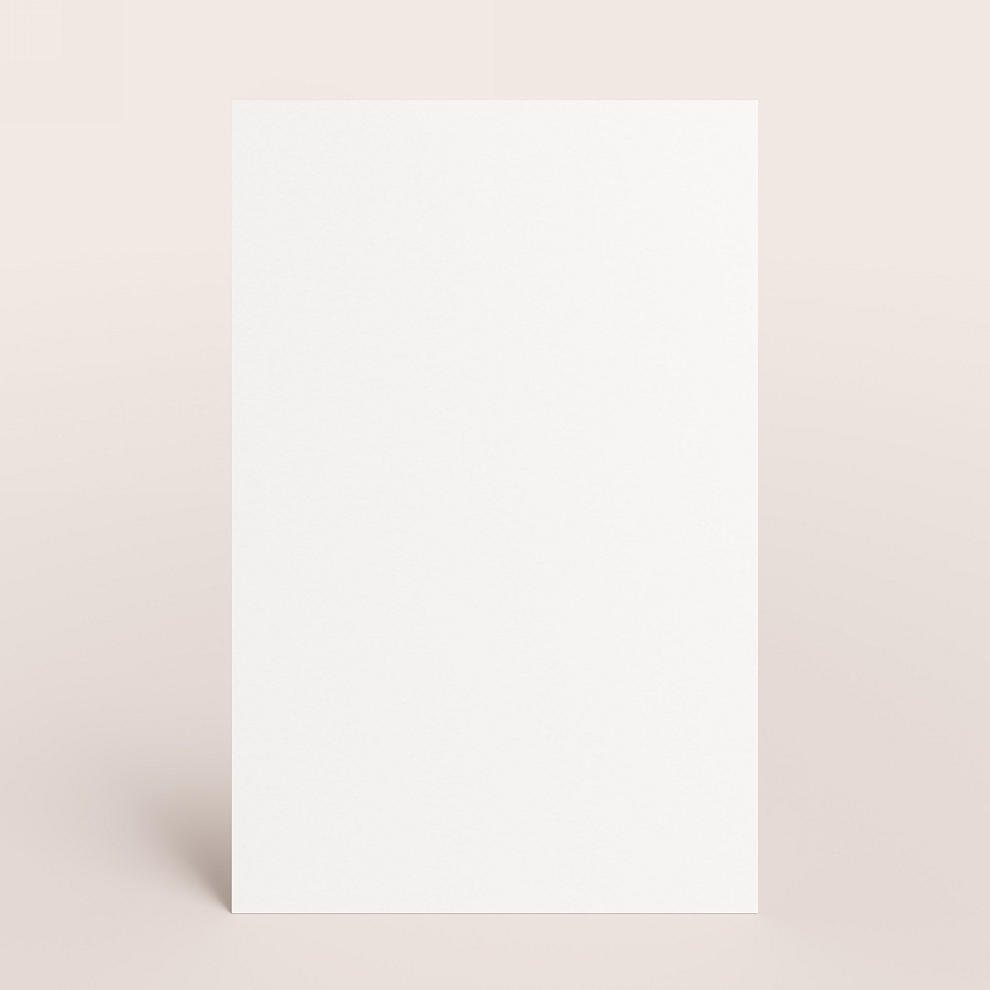 Carte 100 Vierge Rectangulaire Effet Mat Format Portrait 100 Personnalisable Tadaaz