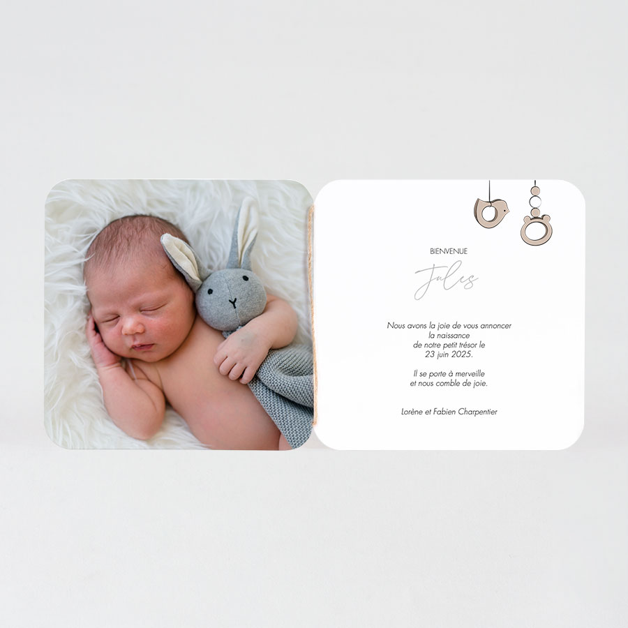 Faire Part Naissance Cocon De Bebe Tadaaz