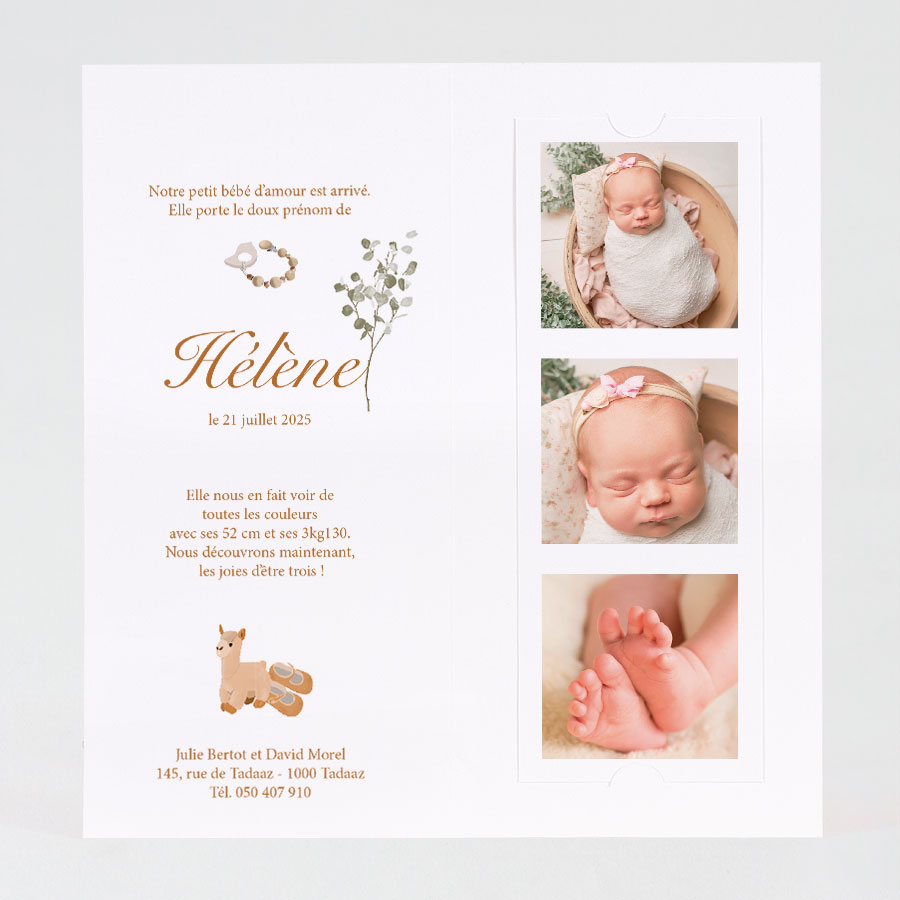 Faire Part Naissance Cocon De Bebe Tadaaz