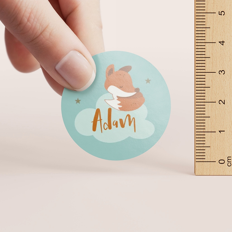 Timbre De Scellage Naissance Renard Et Nuage Naissance Tadaaz