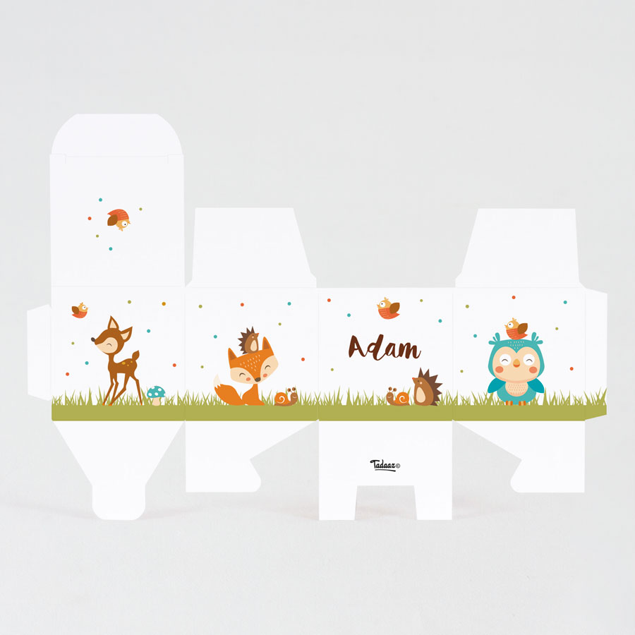 Set de table animaux de la forêt - A colorier- Lot de 6 – La Boite à Dragées