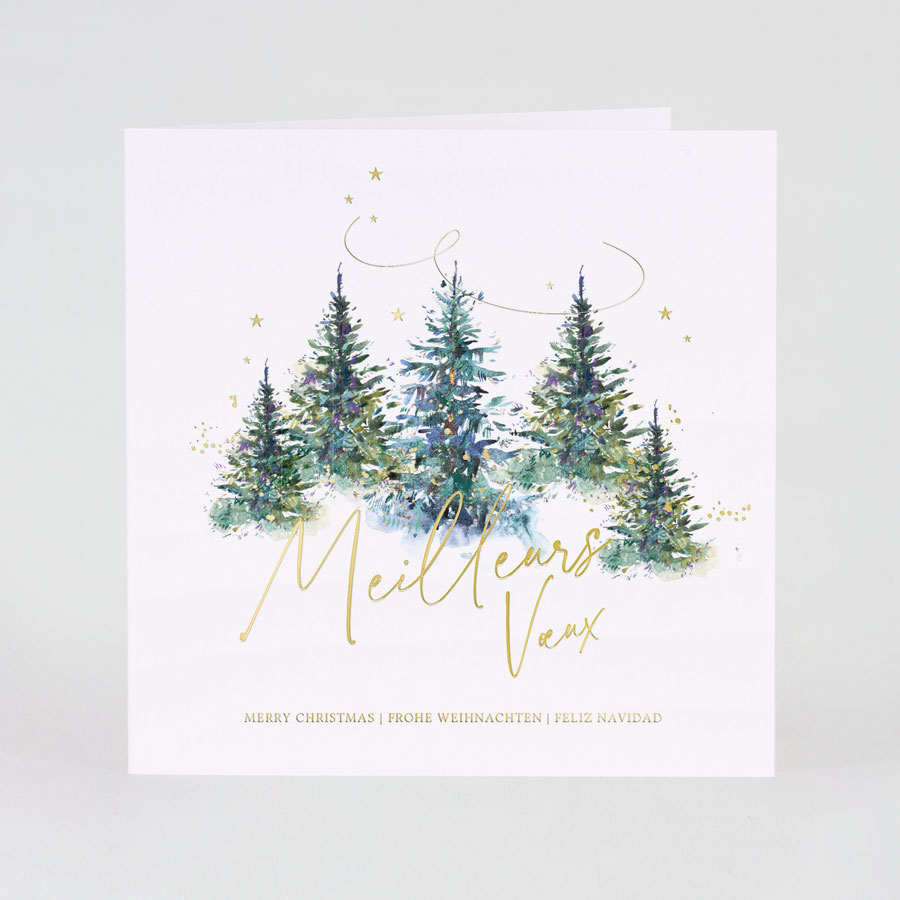  Carte cadeau  - Email - Symbôles de Noël